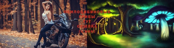 шишки Алексеевка