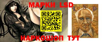 ГАЛЛЮЦИНОГЕННЫЕ ГРИБЫ Беслан