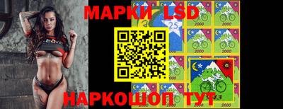 ГАЛЛЮЦИНОГЕННЫЕ ГРИБЫ Беслан
