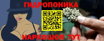 ГАЛЛЮЦИНОГЕННЫЕ ГРИБЫ Беслан