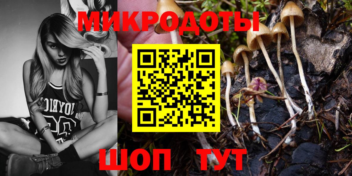 Псилоцибиновые грибы прущие грибы  Псилоцибиновые грибы мицелий  Богородицк  сколько стоит  Вход с VPN 